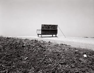 Shannon Ebner