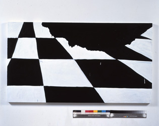 Mary Heilmann