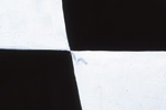 Mary Heilmann